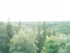 Соловки. Анзер. Вид с Голгофы (2002)