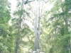 Соловки. Поминальный крест по погибшим в ГУЛАГе (2002)