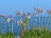 Рабац